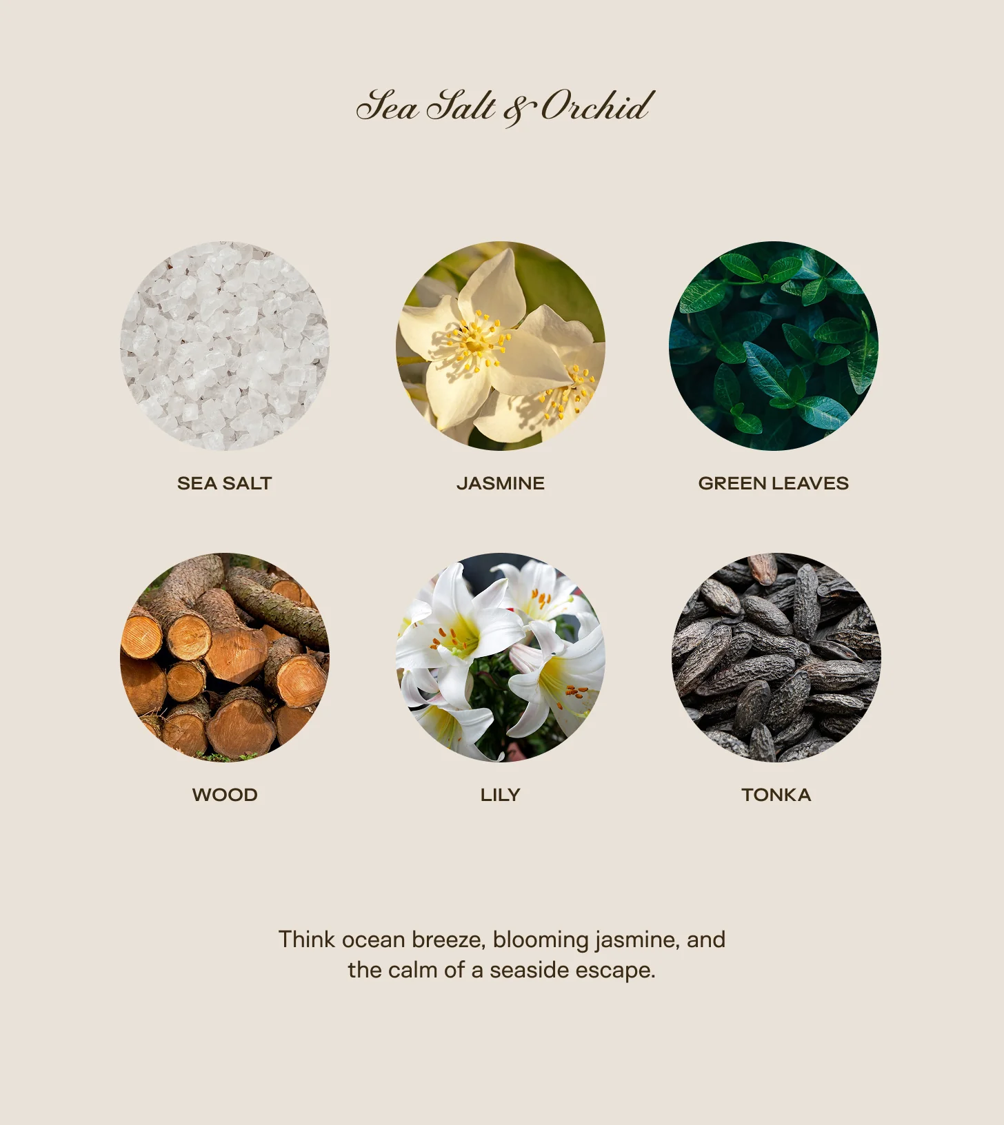 Coastal Bloom - Trio Bundle - Image 3