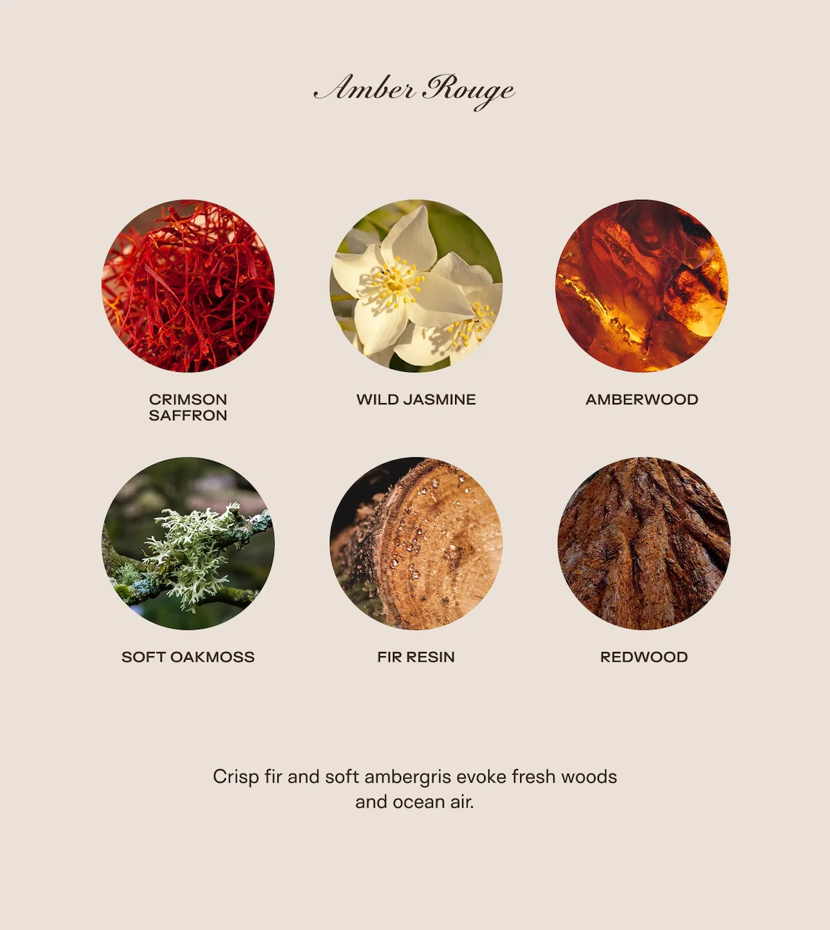 The Baby Big Ass Bundle - Amber Rouge - 150 oz - Image 2