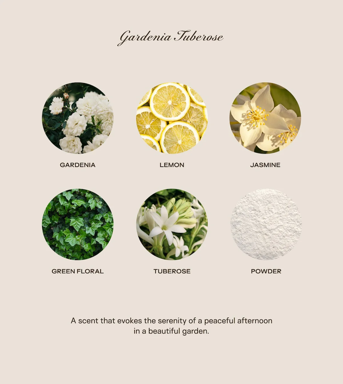 The Baby Big Ass Bundle - Gardenia Tuberose - 150 oz - Image 2