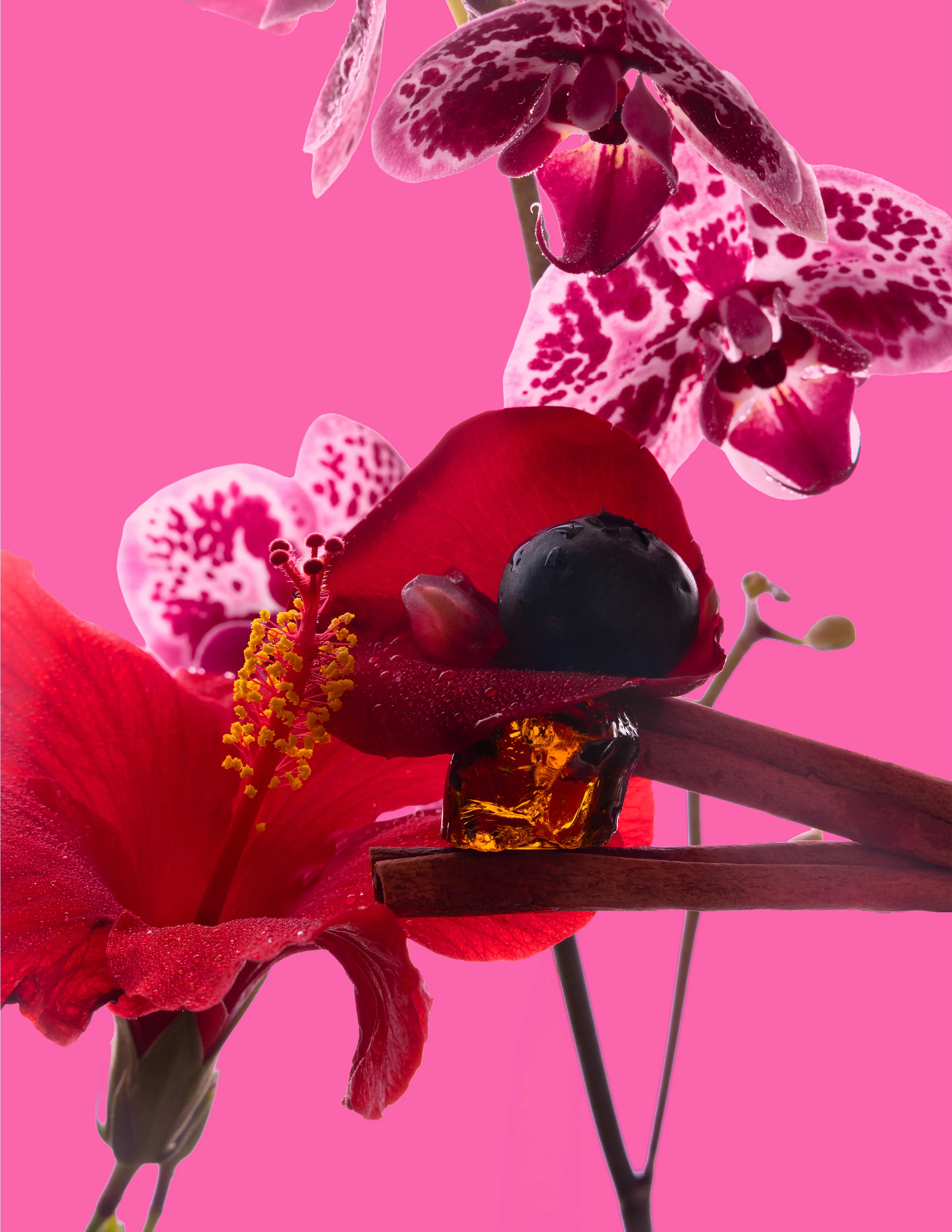 Big Ass Candle - Hibiscus Rose - 300 oz - Image 3