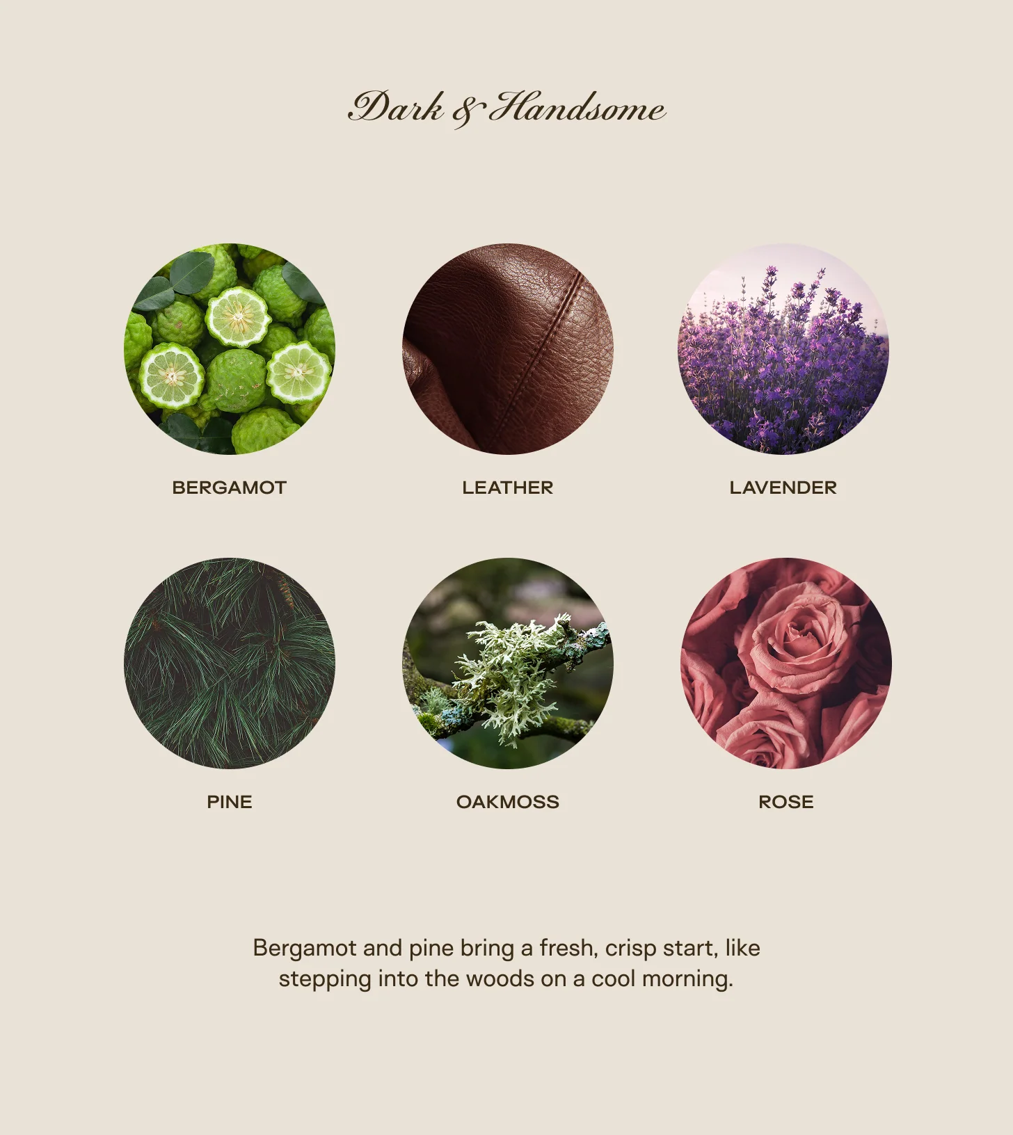 Trio Bundle - All Scents - Image 10